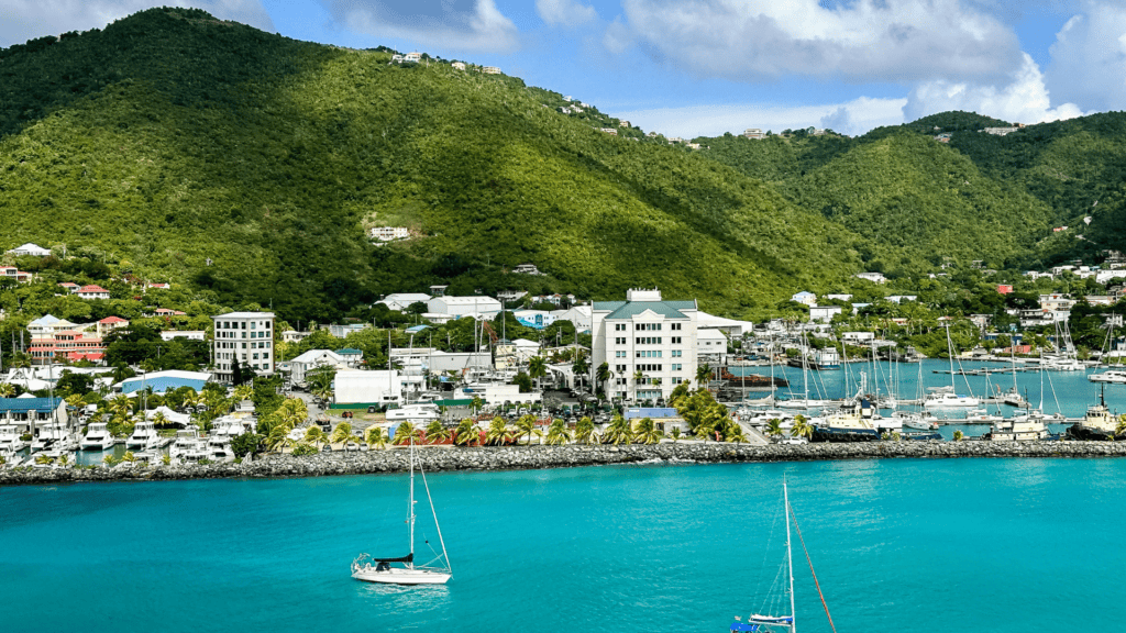 BVI Annual Return