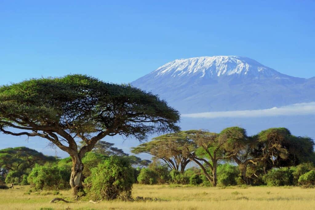 Kenya's Tax System - Country Profile